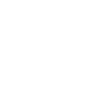 BLU R2 Processor