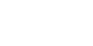 VIVO 8