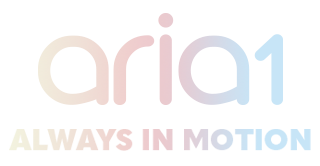 Aria 1